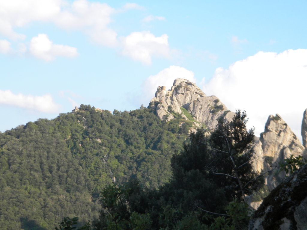 DSCN2725 .JPG